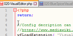 020-VisualEditor.php