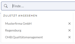 Suchfeld des Wikis mit 3 zuletzt angesehenen Seiten