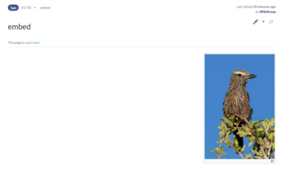 Screenshot der freigegebenen Seite mit aktuell freigegebener Version der Ressource.