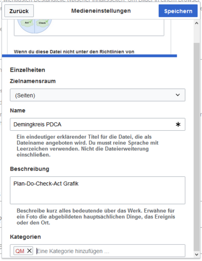 VisualEditor-datei-hochladen-einzelheiten.png