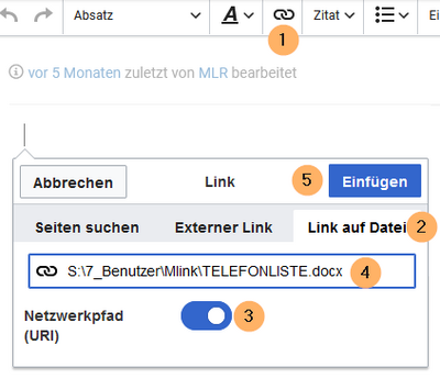 Dialog feld zum Erstellen eines Links auf eine Datei moit Netzwerkpfad