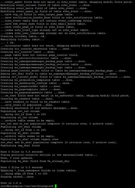 Datei:Setup:Setup bluespice maintenance update.jpg