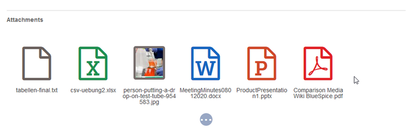 Datei:SocialWikiPage-attachments-css-output.png