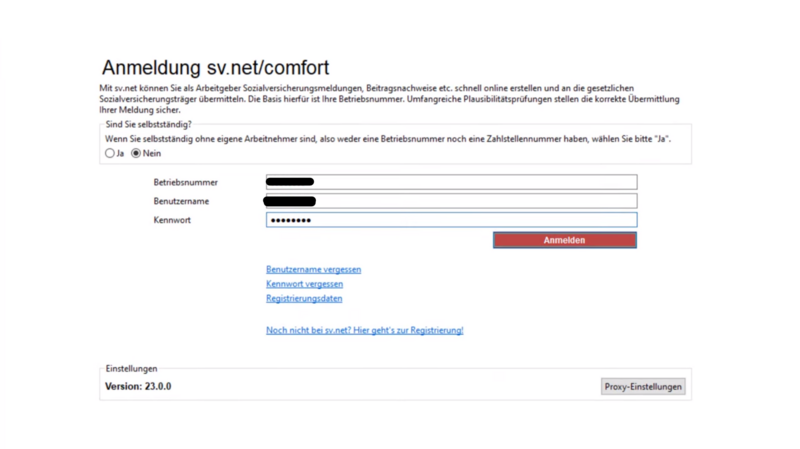 Datei:Screenshot1svnet.png