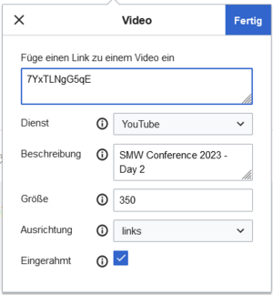 Video-Einstellungen für ein YouTube-Video als Vorschaubild mit Bildbeschriftung.