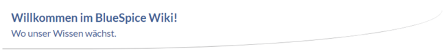 Banner mit Hintergrundicon bgicon3